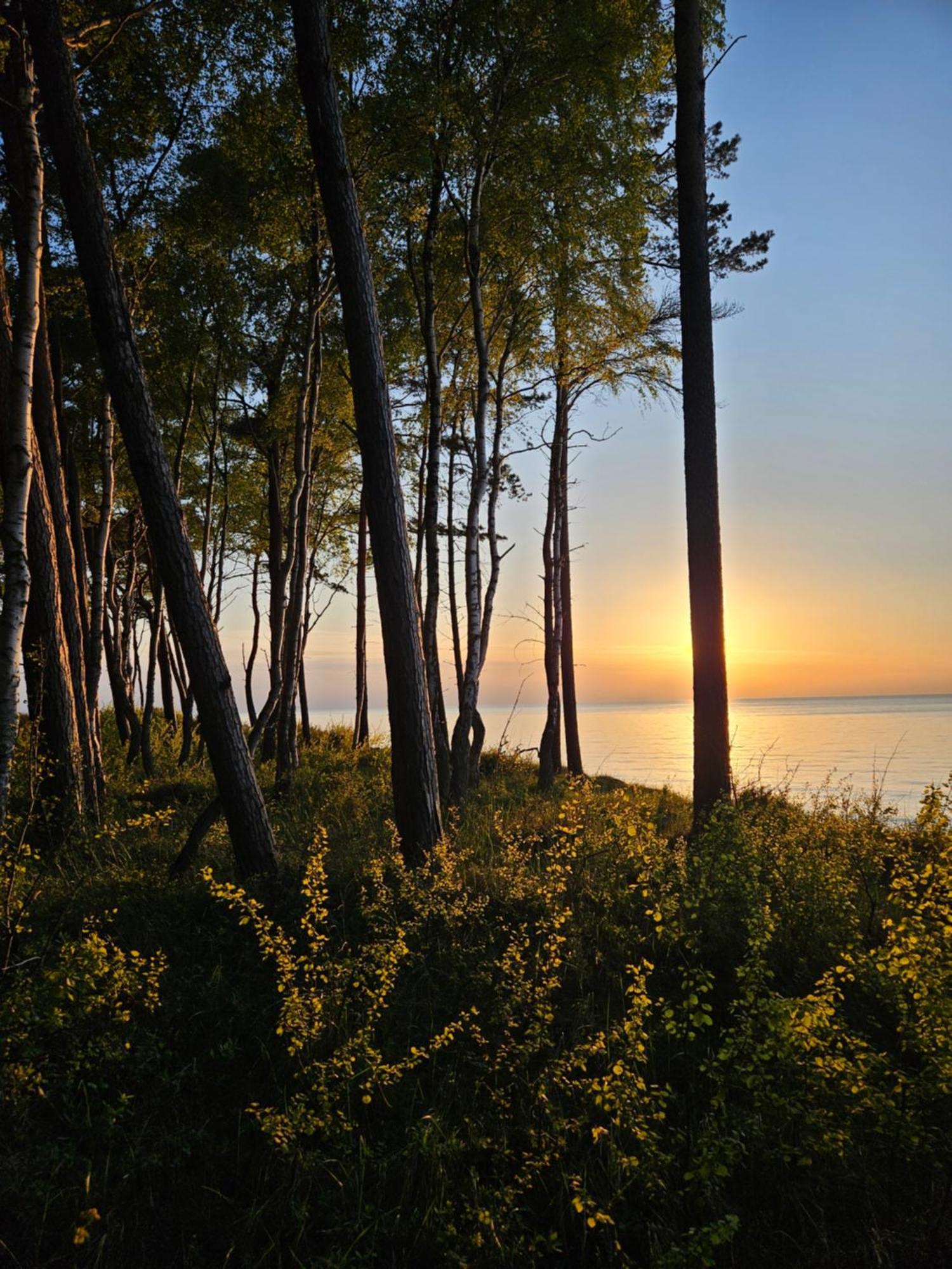 Baltic Nature Łukęcin Exterior foto